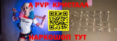 стаф Шелехов