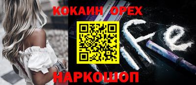 стаф Шелехов
