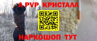стафф Шебекино