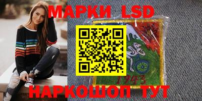 стаф Шелехов