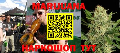 стаф Шелехов