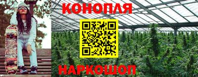 стаф Шелехов