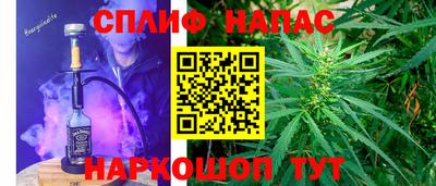 стаф Шелехов
