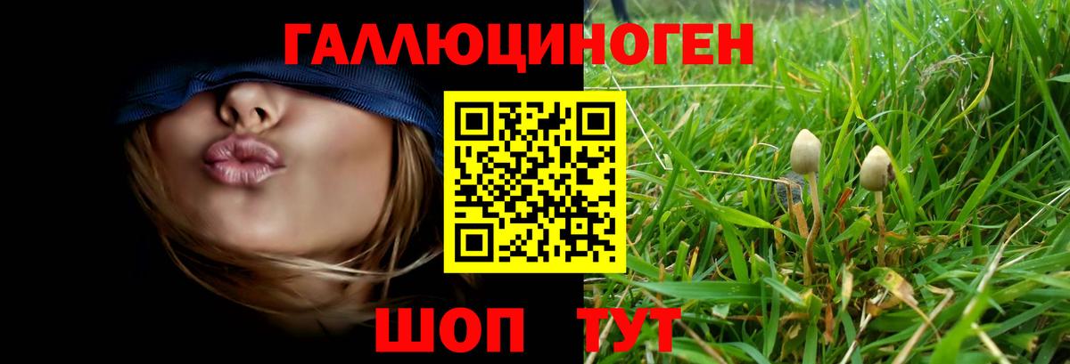 Галлюциногенные грибы GOLDEN TEACHER Железноводск